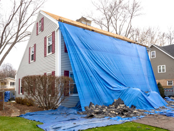 Best Historical Building Siding Restoration  in Westchase, FL