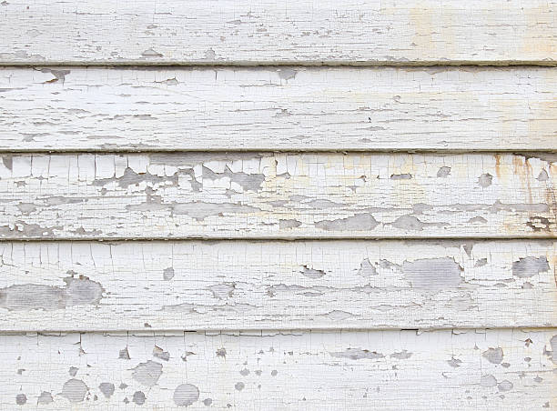 Best Siding Repair  in Westchase, FL