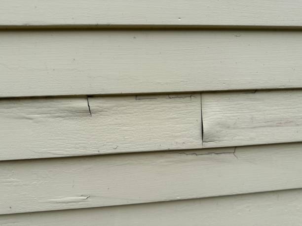 Best Custom Trim and Detailing for Siding  in Westchase, FL